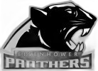 Eisenhower logo